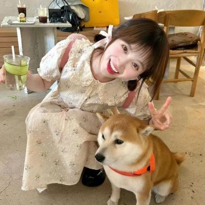 安妮·雪莉